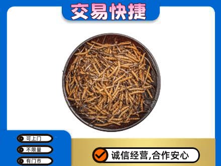 屯昌回收散虫草